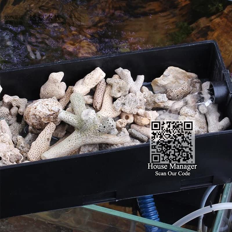 Filtre en os de corail naturel pour aquarium - 200 g - Matériau biologique moyen - Sable de corail pour pH stable - Filtrage d'aquarium