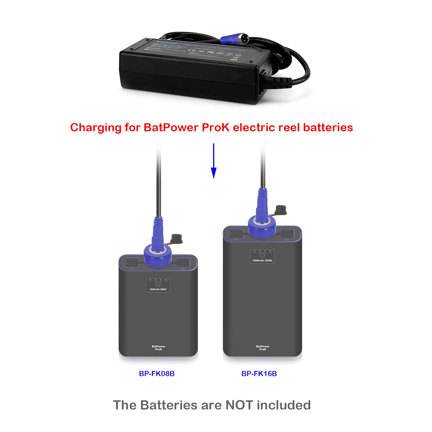 BatPower ProK 65W Electric Fishing Reel Battery Charger Power Adapter Compatible for Banax Kaigen Power Assist Reel Battery BP-FK08B BP-FK16B Power Supply AC Adapter