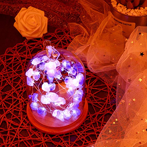Frienda Purple Amethyst String Light 10Ft 40 Leds Crystal Stone Fluorite, Battery Powered With 12 Modes, Remote And Timer Decor For Wedding Birthday Party Holiday Festive Home Bedroom Garden #TOP3