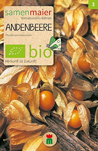 BIO Andenbeere Samen - süßaromatisch, ertragreich, stark frostempfindlich - Physalis peruviana edulis - Anbauinfo: Aussaat im März, Ernte ab September - reicht für ca. 30 Pflanzen - Samen Maier