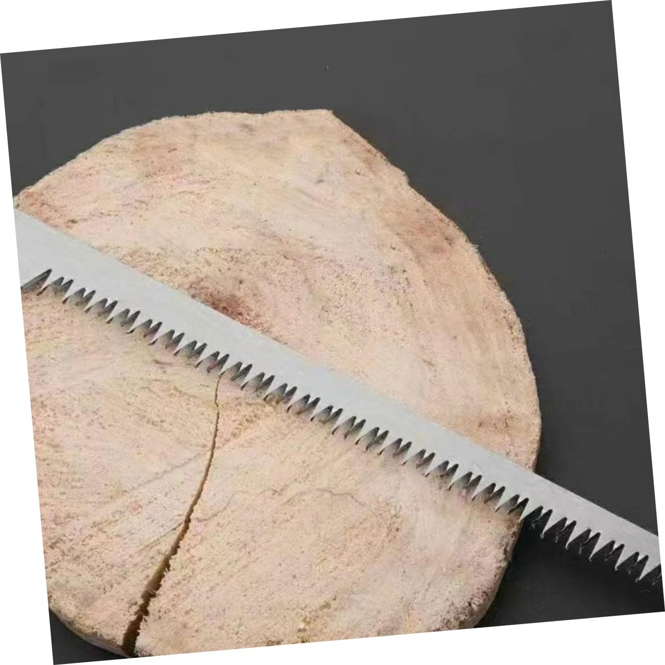 Toddmomy 20pezzi Mano Per Bonsai Lame Ricambio Per Potatura e Giardinaggio Per Professionali Per e Bonsai