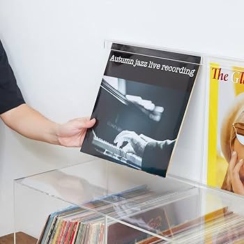 Amazon.co.jp: F+Tres LPレコードディスプレイケース 本体+