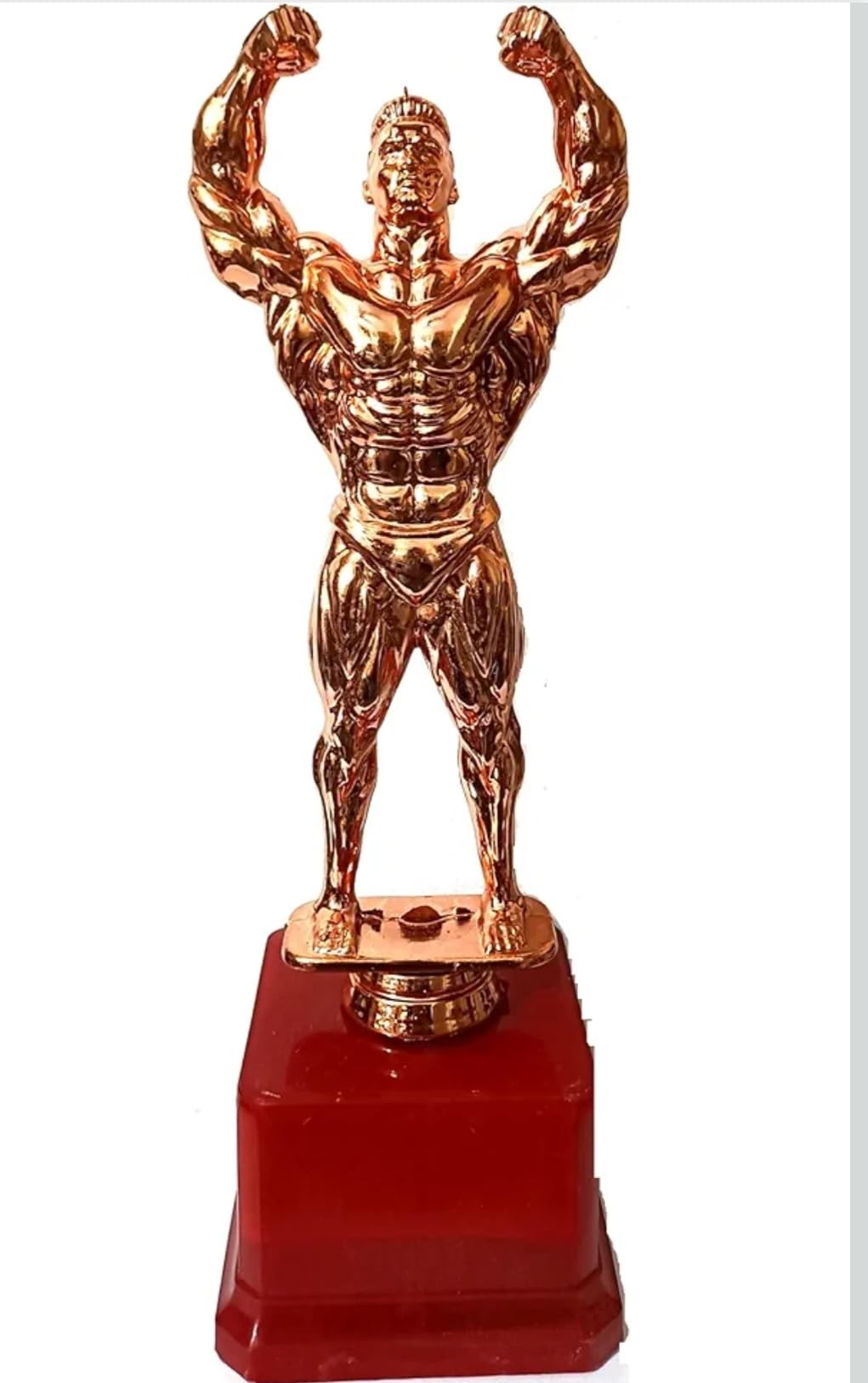 Trophies 25Cm for Best Bodybuilder Gym Lover in Body Paint Colour Award and Trophy by tmw-picture-11