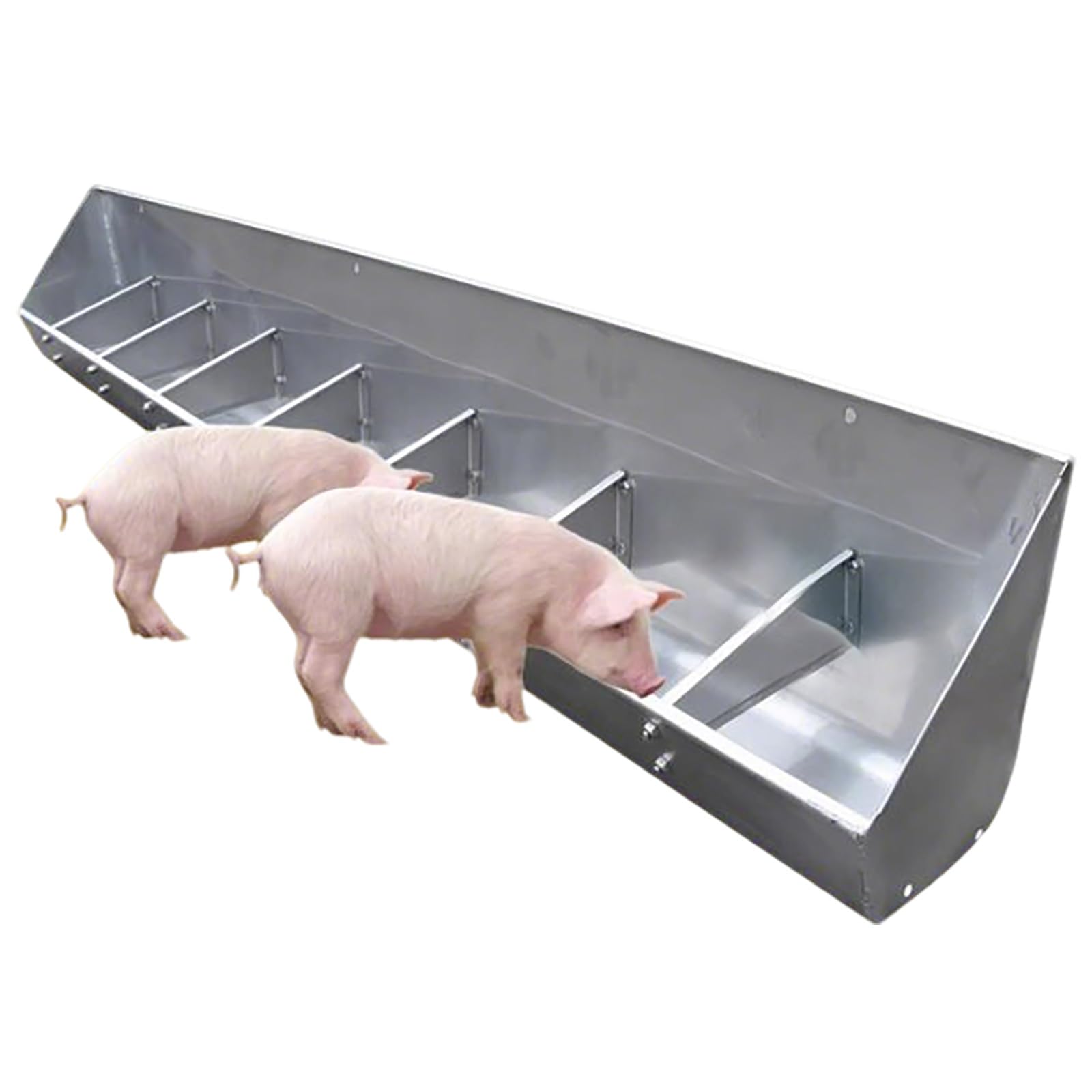 Comederos de acero inoxidable para cerdos y lechones con sistema portátil de agua
