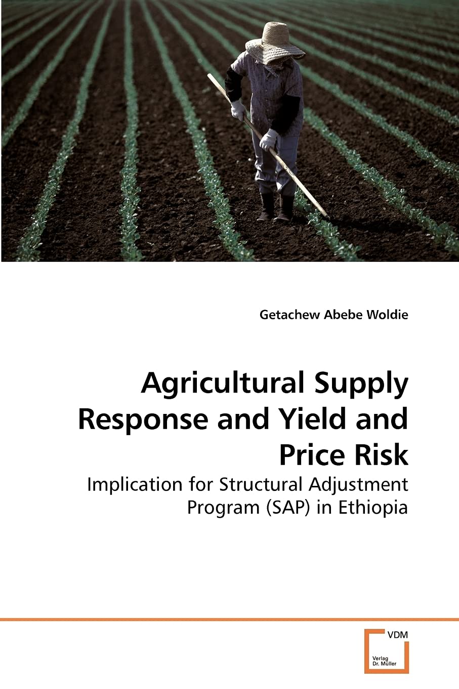 Agricultural Supply Response under Yield and Price Risk: Implication for Structural Adjustment Program (SAP) in Ethiopia