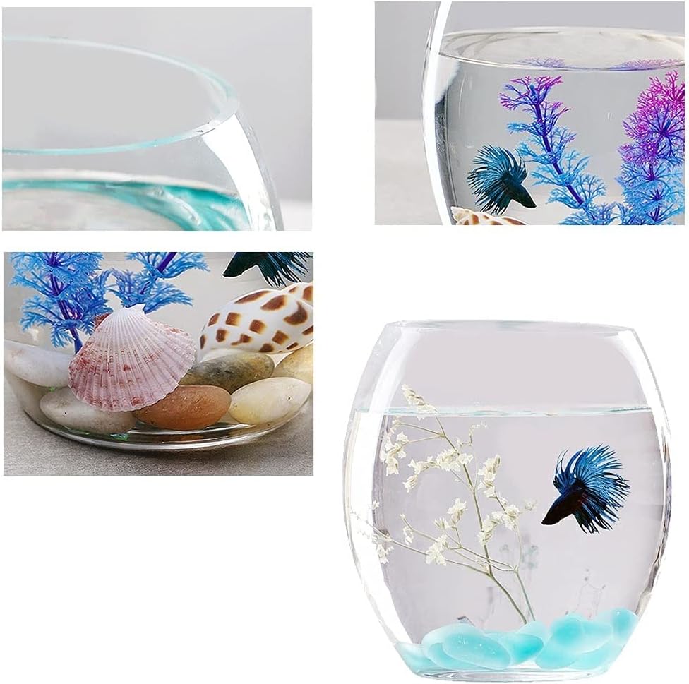 Fish Tank Glass Landscaping Water Tank Vase Bottle Big Turtle Fish Tank Fish Farming Creative Aquarium Ecological Round Goldfish Tank Glass Fish Tank(7.87IN)
