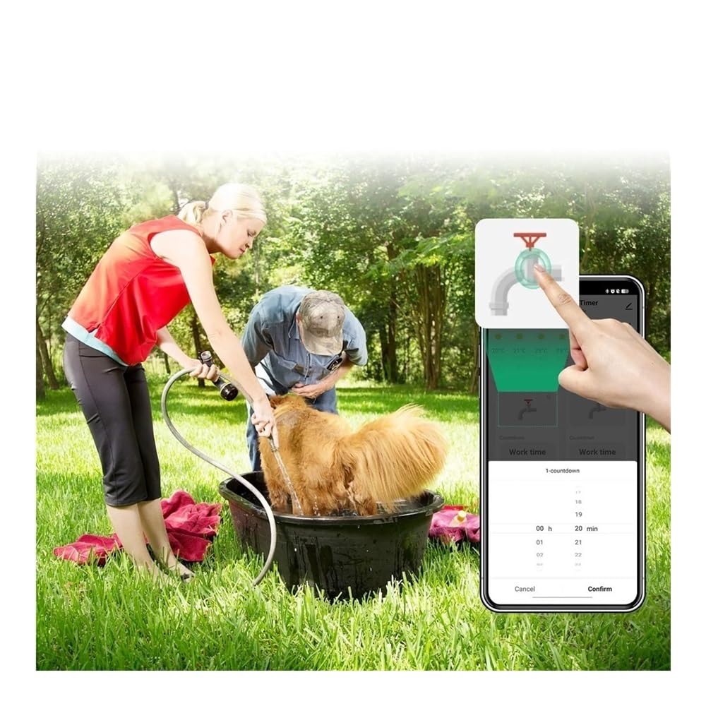 Timer automatico for irrigazione a doppio tubo adatto for il giardino | Temporizzatore programmabile a 2 uscite, controllo indipendente, facile installazione(Only Timer 1pcs)