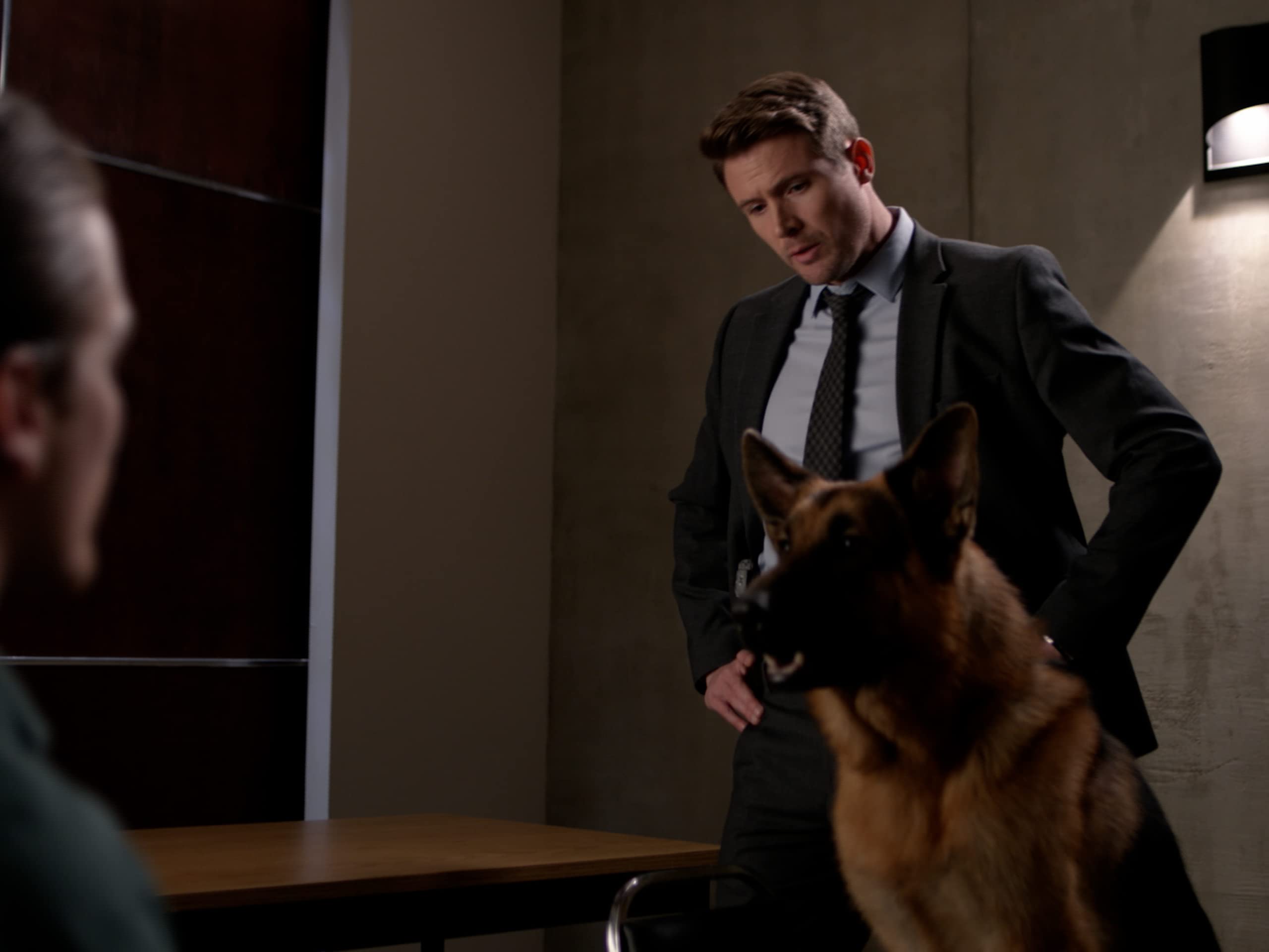 Hudson Et Rex Streaming Watch Hudson & Rex Season 1 | Prime Video