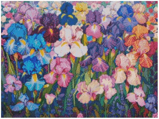 Kit de broderie point de croix Iris Garden aux finitions soignées en toile 14 CT