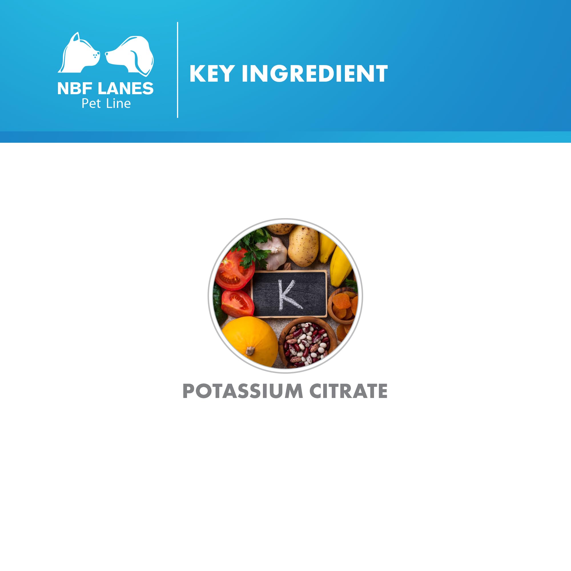 NBF Lanes | Karenal Pet Perro y Gato, Polvo apetecible 50 g, para los Estados de Deficiencia de Potasio e Hipopotasemia