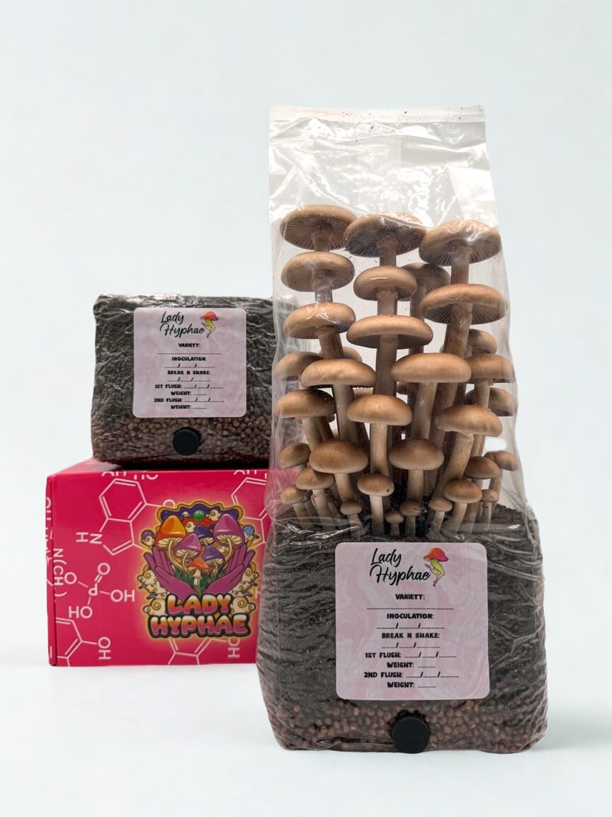 All-in-One Mushroom Grow Bag, Complete Cultivation Kit, 3lb