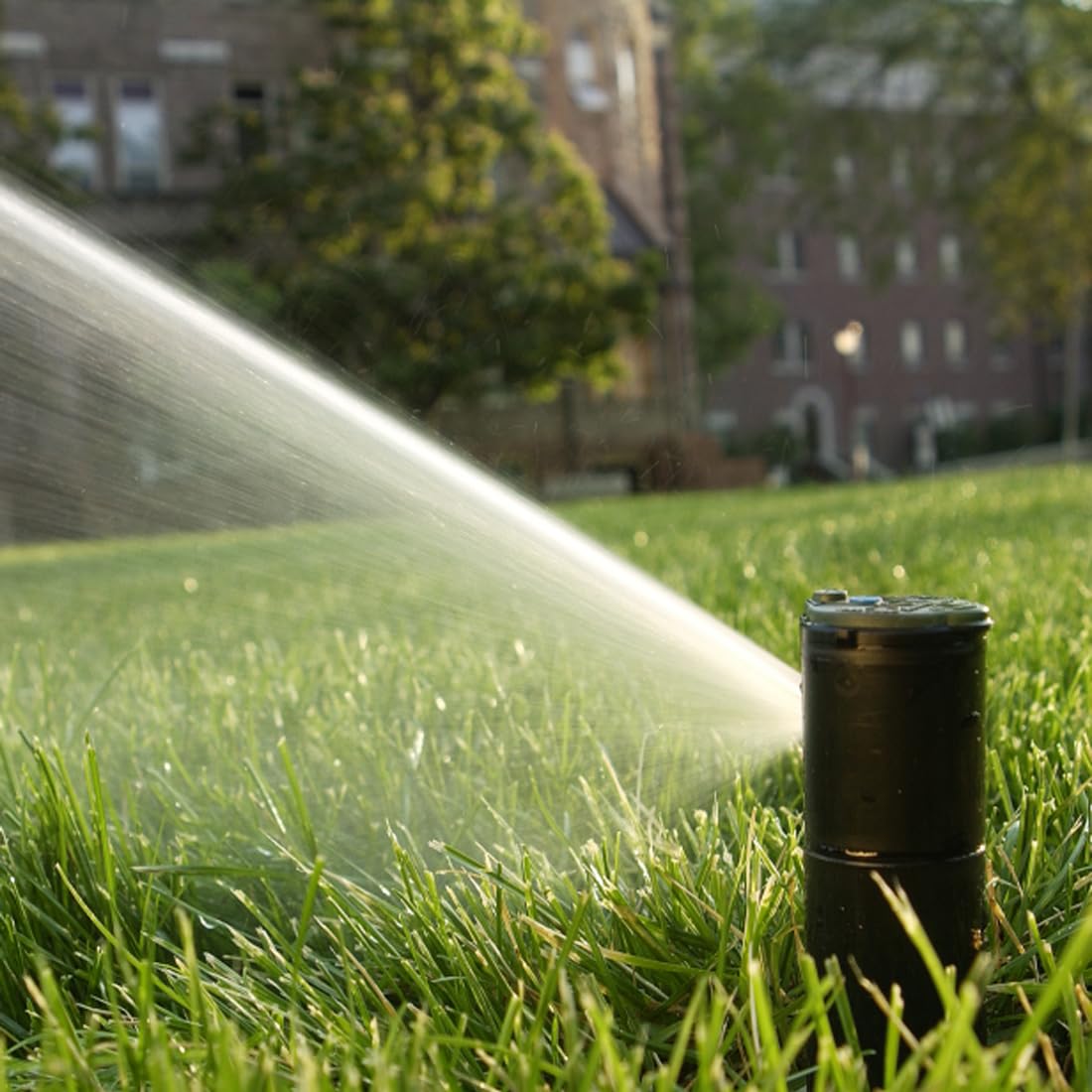 [Pack 10] Irrigatore pop-up a turbina 3504-PC, Rain Bird - Irrigatori per irrigazione prato - Irrigatori a turbina settoriali (40°-360º) di ½ di facile utilizzo per brevi e medi raggiungibili