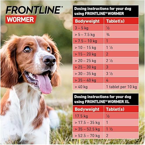 FRONTLINE WORMER XL Worming Tablets for Dogs 2 Tablets