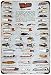 Heddon Fishing Lures Color Chart Vintage Look Reproduction Sign 8 x 12 8120210