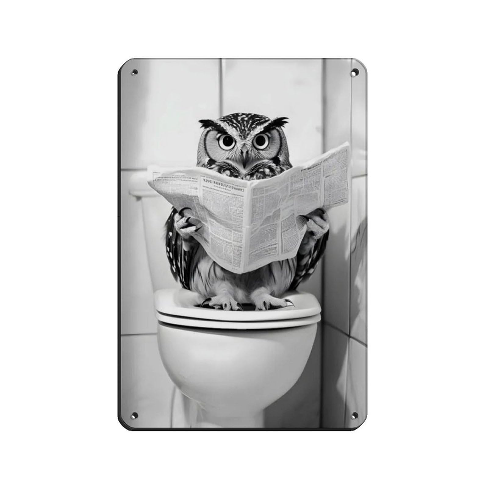 Owl Sitting on The Toilet Reading A Newspaper (2) Tin Sign Vintage Metal Pub Club Cafe Bar Home Wall Art Decoration Poster Retro 8x12inch(20x30cm)