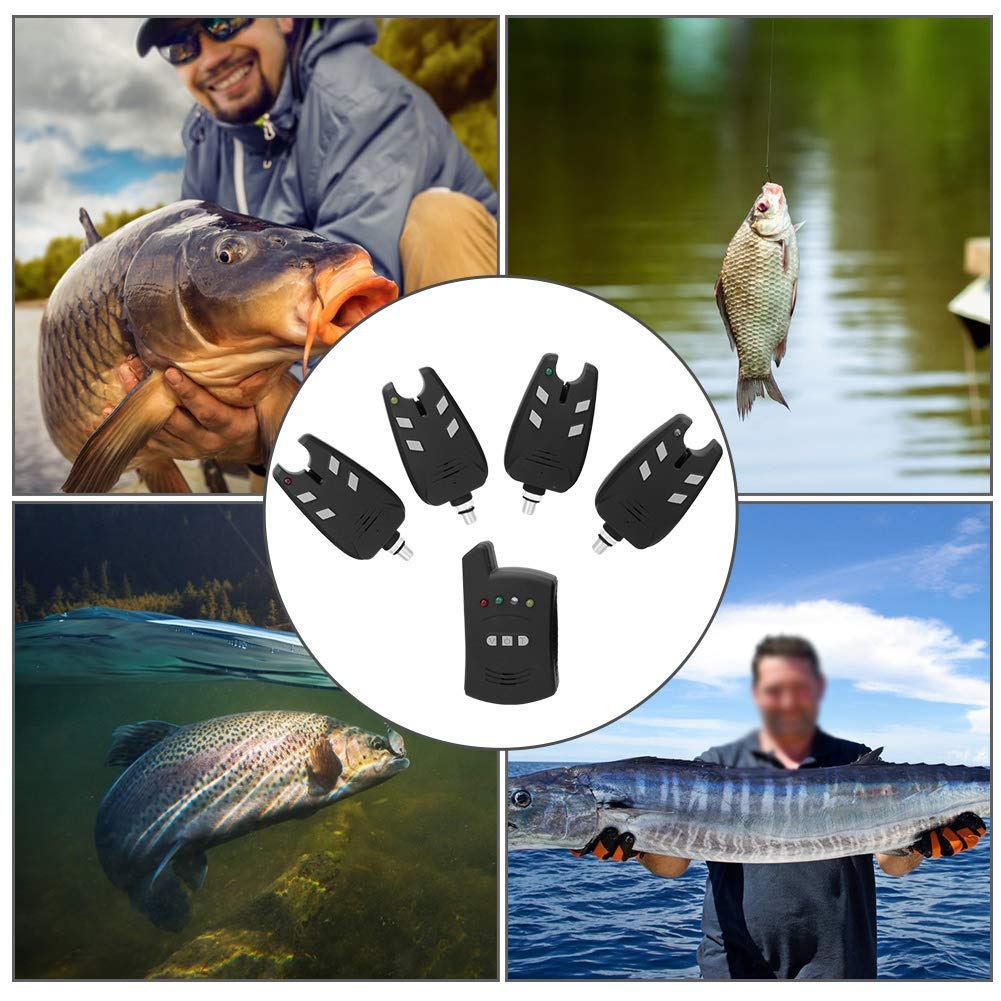 4 STK. Angelbissalarm & 1 STK. Empf?ngeranzeige Ton & LED-Lichtalarm Fischausr¨¹Stung Zubeh?r Elektronischer Angelalarm Drahtloses Set