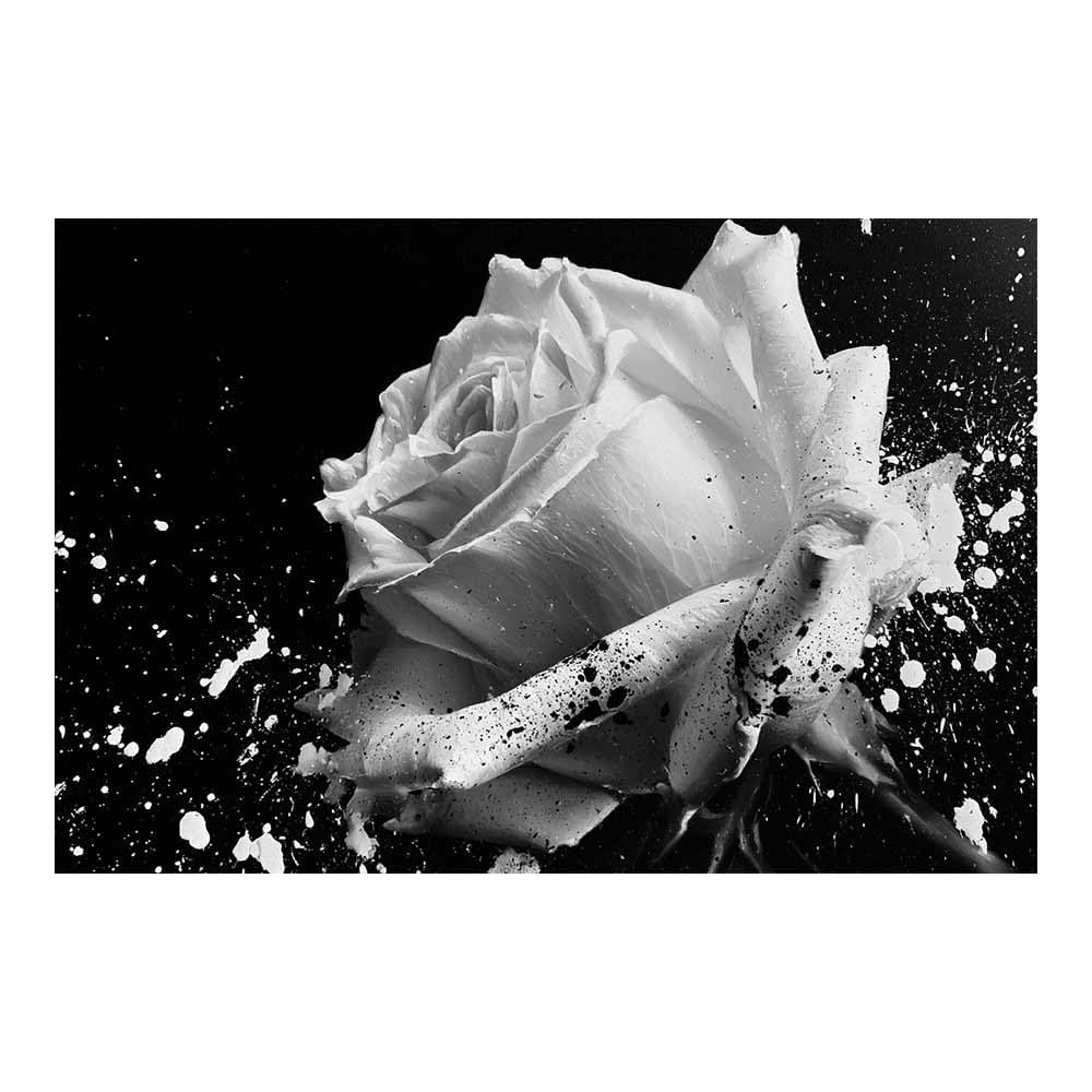 HOQIU Black And White Canvas Wall Art Black Whites Ros Art canvas wall art, decorative paintings, for Bedroom Living Room Bathroom Office Home Decoration(Multicolor)-80x120cm Unframed