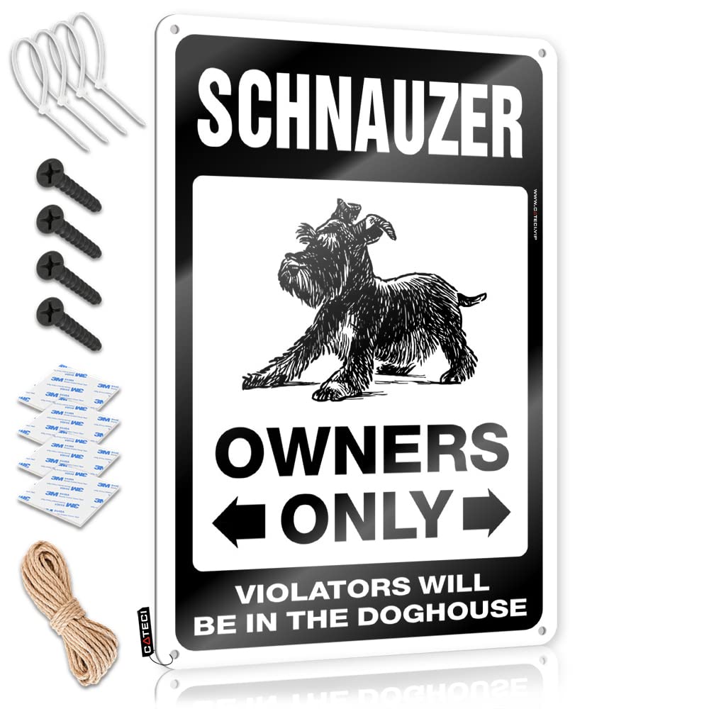 Fzfn Colour Posters Haves Gorgeous Schnauzer Parking Only For Work - Winter Customizable(30X40cm)