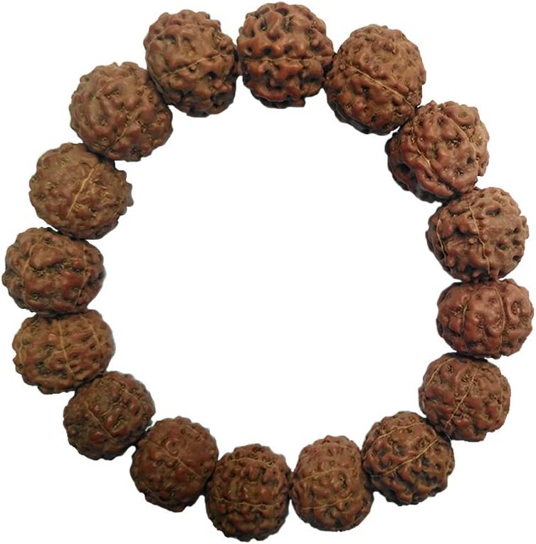 ExoticPrayerBeadsExoticPrayerBeads Bracelet Jenitri Rudraksha Seed 15mm with 16 Beads on Black Elastic Cord Unisex