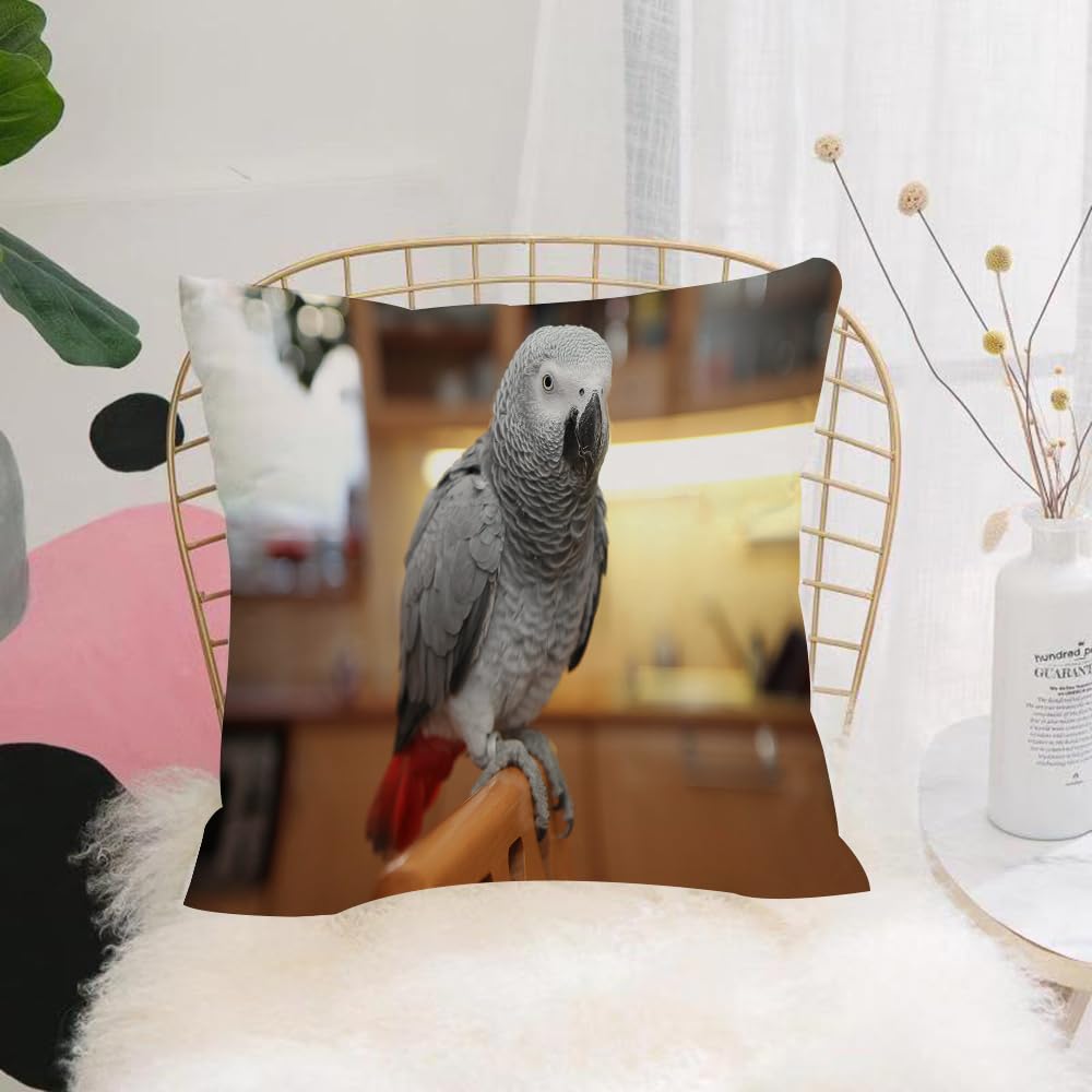 HYOSXW Cushion Cover,Throw Pillow Case Home Decorative for Living Room Bedroom Sofa Chair 16X16 Inch,Parrot, the grey-feathered red-tailed parrot on the wooden chair,Pillowcase 40X40cm