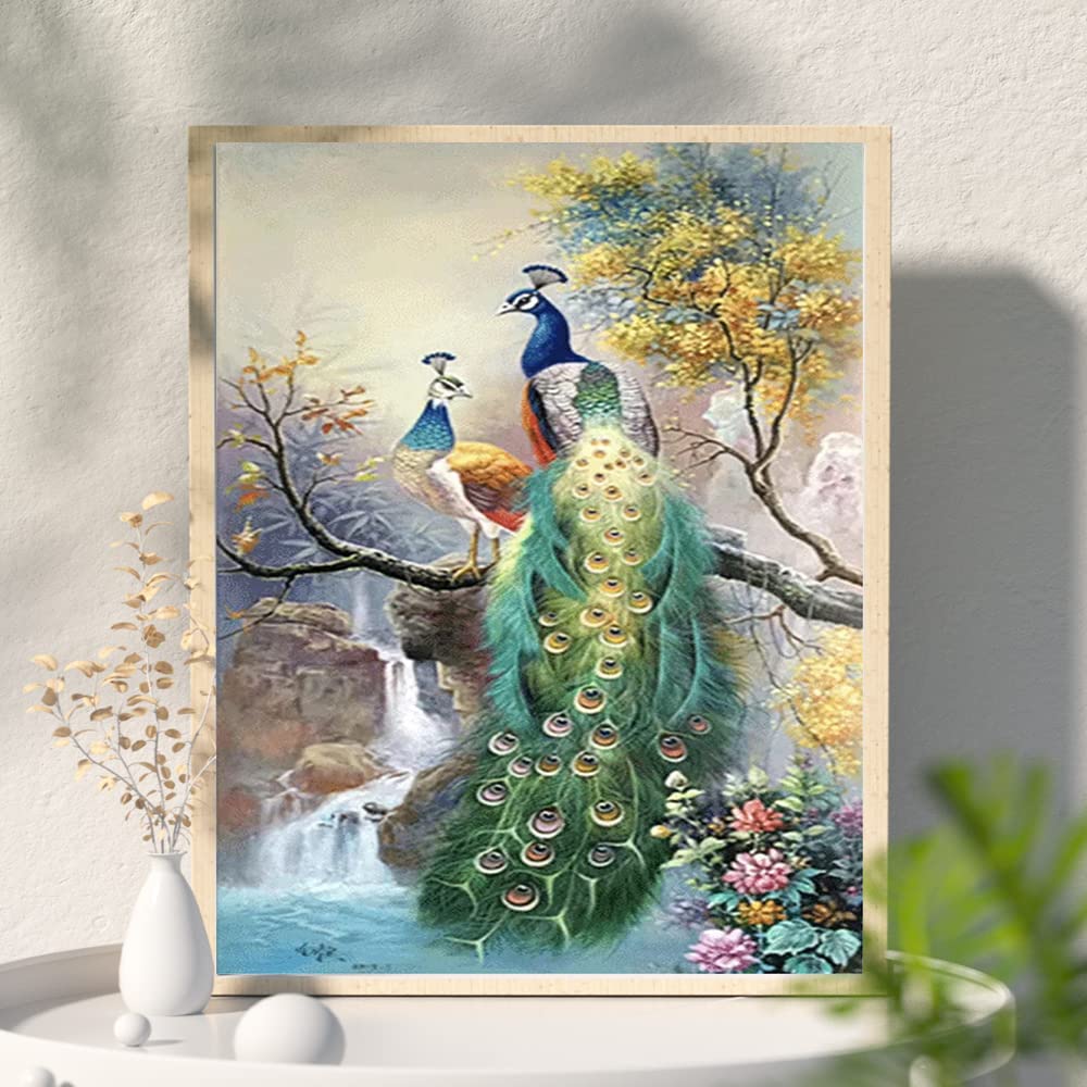 SHEGZHUC Diamond Painting Oiseaux 30x30 Cm Broderie Diamant