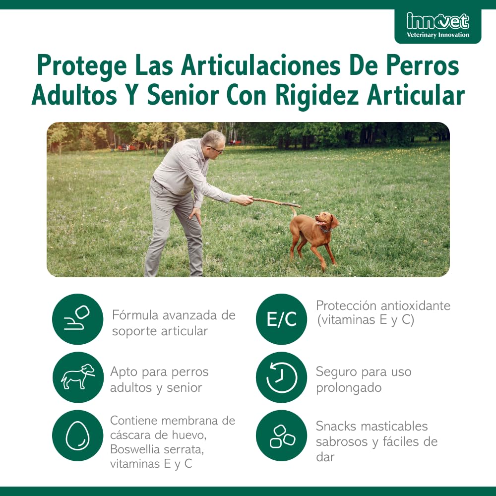 Innovet Condrostress Mobility 90ud Condroprotector Perros Adultos y Senior | Mejora el Metabolismo del Cartílago, Movilidad y Rigidez Articular – Colágeno, Condroitina y Ácido Hialurónico