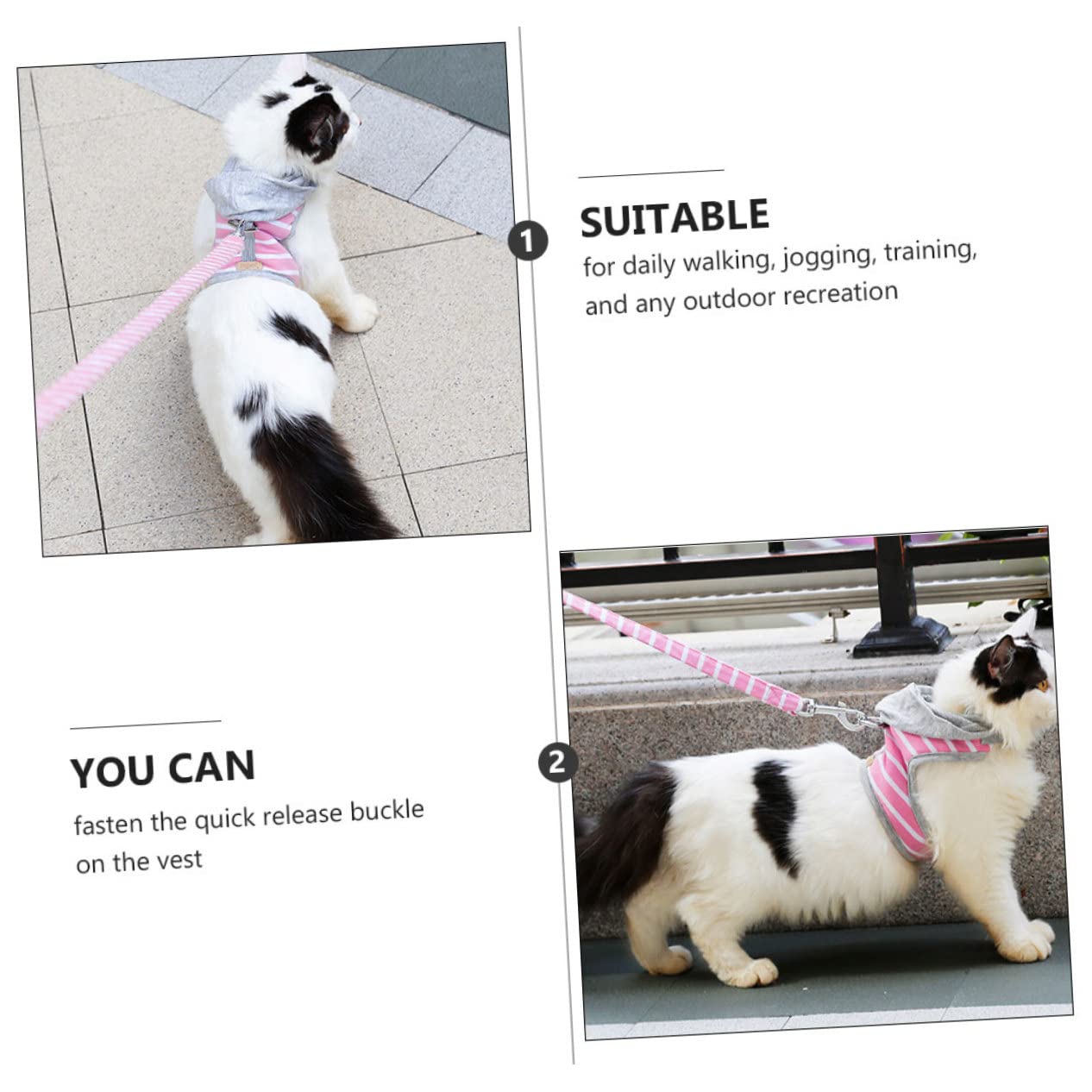 VANZACK 2stücke Pet Mit Atmungsaktive Weste Im No-Pull Design Für Katzen Verstellbar Für Sicheres Spazierengehen Und Erhältlich