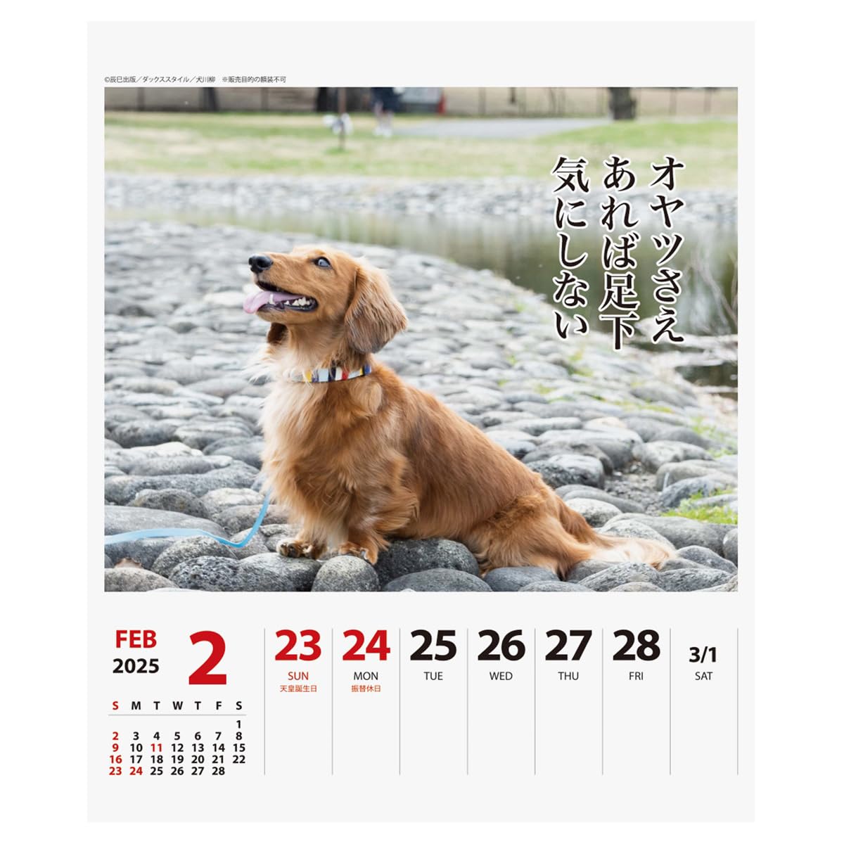 Amazon.co.jp: 2025年 ダックス川柳(週めくり) カレンダー No.024