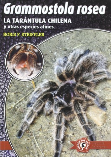 Grammostola rosea: la tarántula chilena y otras