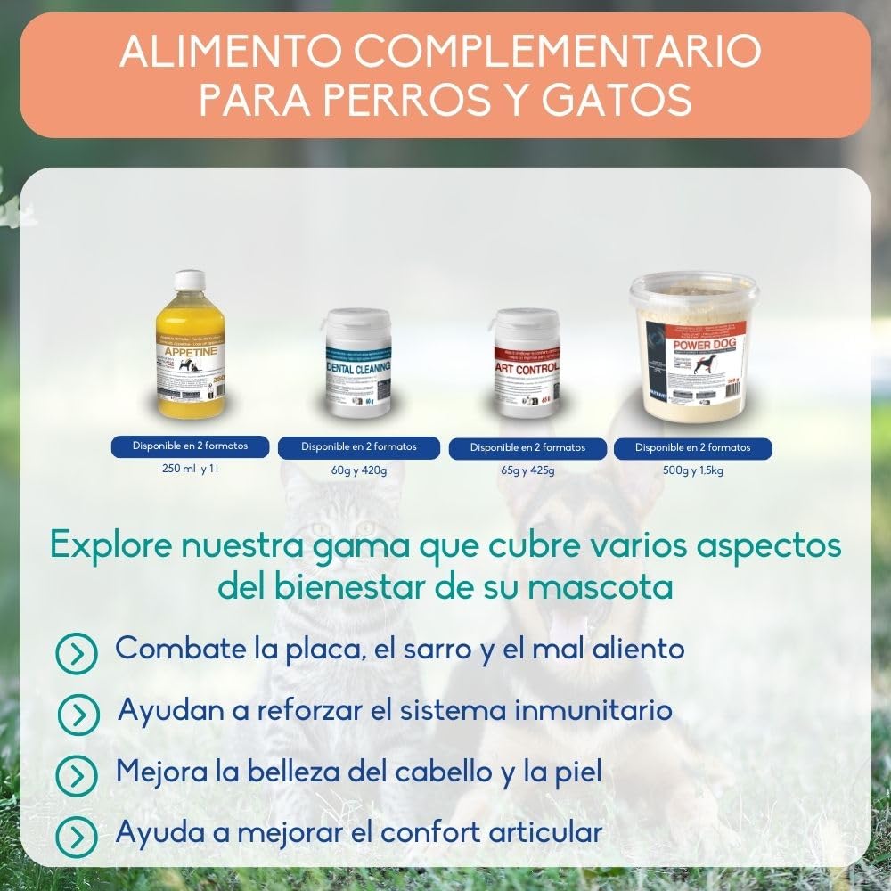 NUTRIVET - Aliment Complémentaire - Chiens & Chats - Huile de Saumon - Riche en Omegas 3 et 6 - Flacon-Pompe 1L