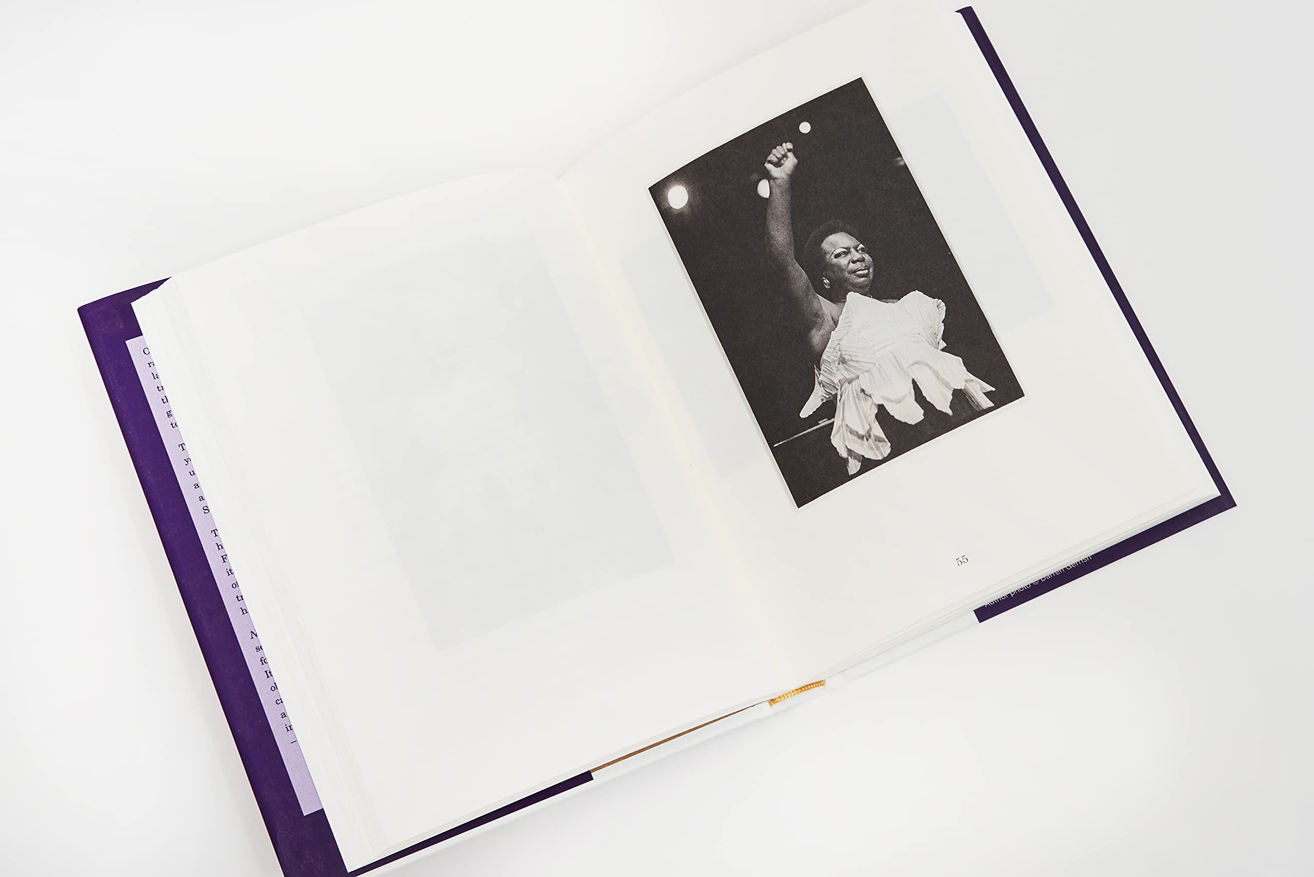 Nina Simone's Gum: A Memoir of Things Lost and Found