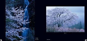 【中古】 悲しみは海の色/偕成社/山下喬子 楽天ブックス: 悲しみは海の色 - 山下喬子 - 9784038050107 : 本