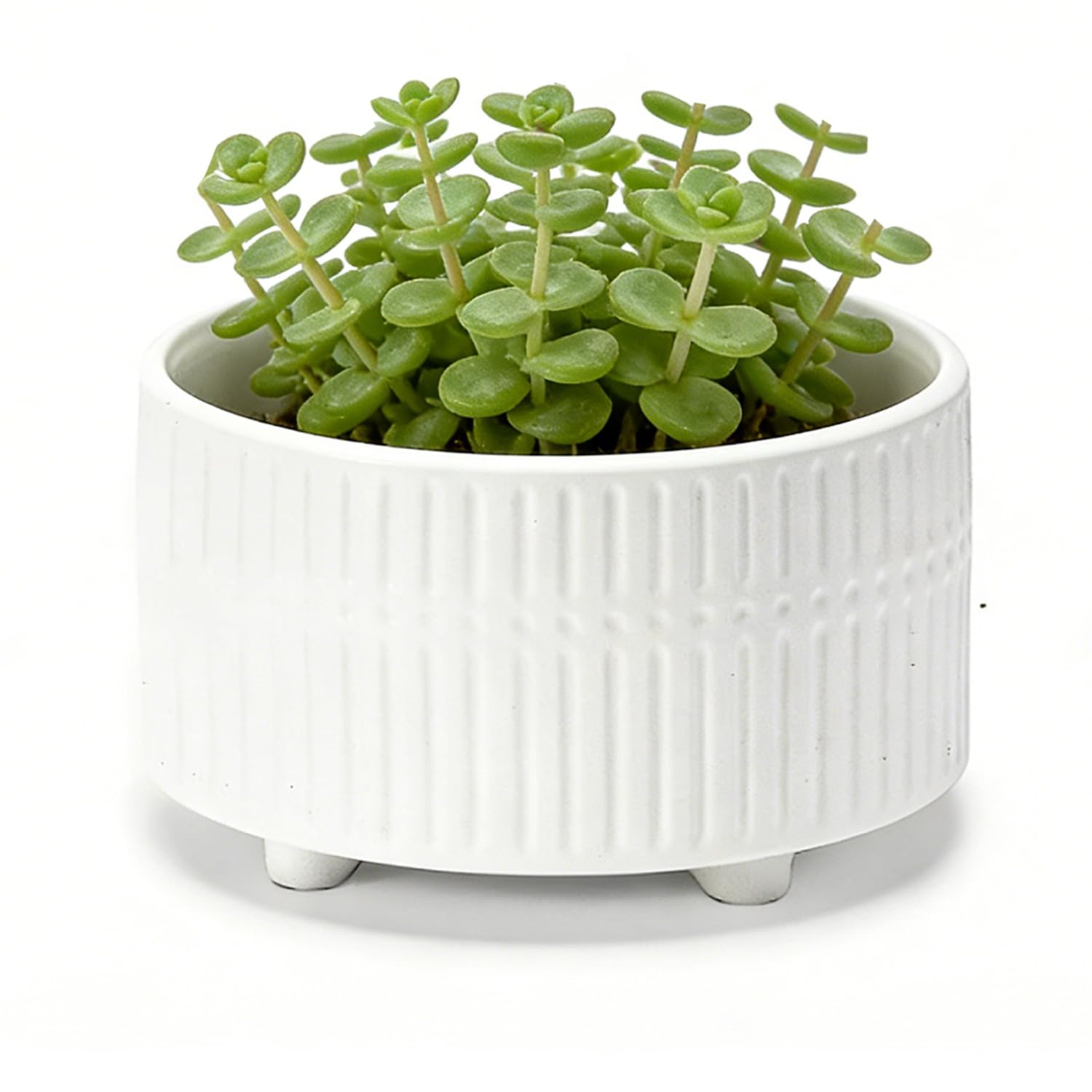 Chiziyixin Ceramic Plant Pot, 16.7cm Ceramic Plant Pots Indoor with Drainage Holes, Modern Striped Decorative Bonsai Pot with Plastic Saucer, Used for Flower Succulent Cactus House Plants, White (M)