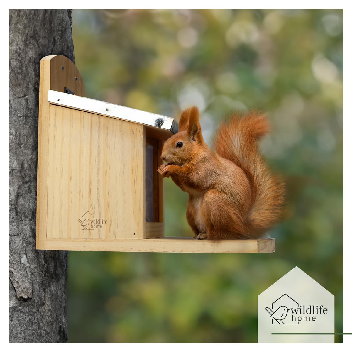 WILDLIFE HOME Comedero para ardilla XL con techo de metal, estación de alimentación de madera maciza atornillada, resistente a la intemperie y sin tratar, casa para ardillas