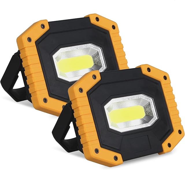 30W Rechargeable Portable Work Light, T-SUN LED Floodlights with USB, Spotlight Waterproof Outdoor for Car Repairing, Fishing, Camping, Emergency Security Lights, 3 Modes (Battery Included) 2-Pack