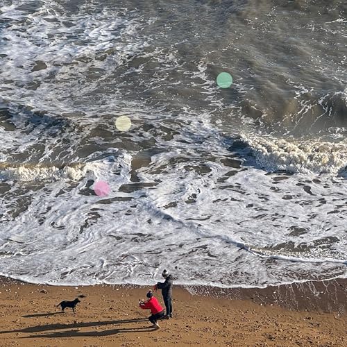 Promenade C&ocirc;ti&egrave;re en Plein Hiver | Vagues Ondoyantes et Air Marin Froid