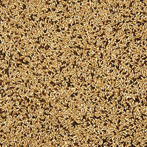 Kaytee 100550743 Supreme Pet Canary & Finch Food thumb #1