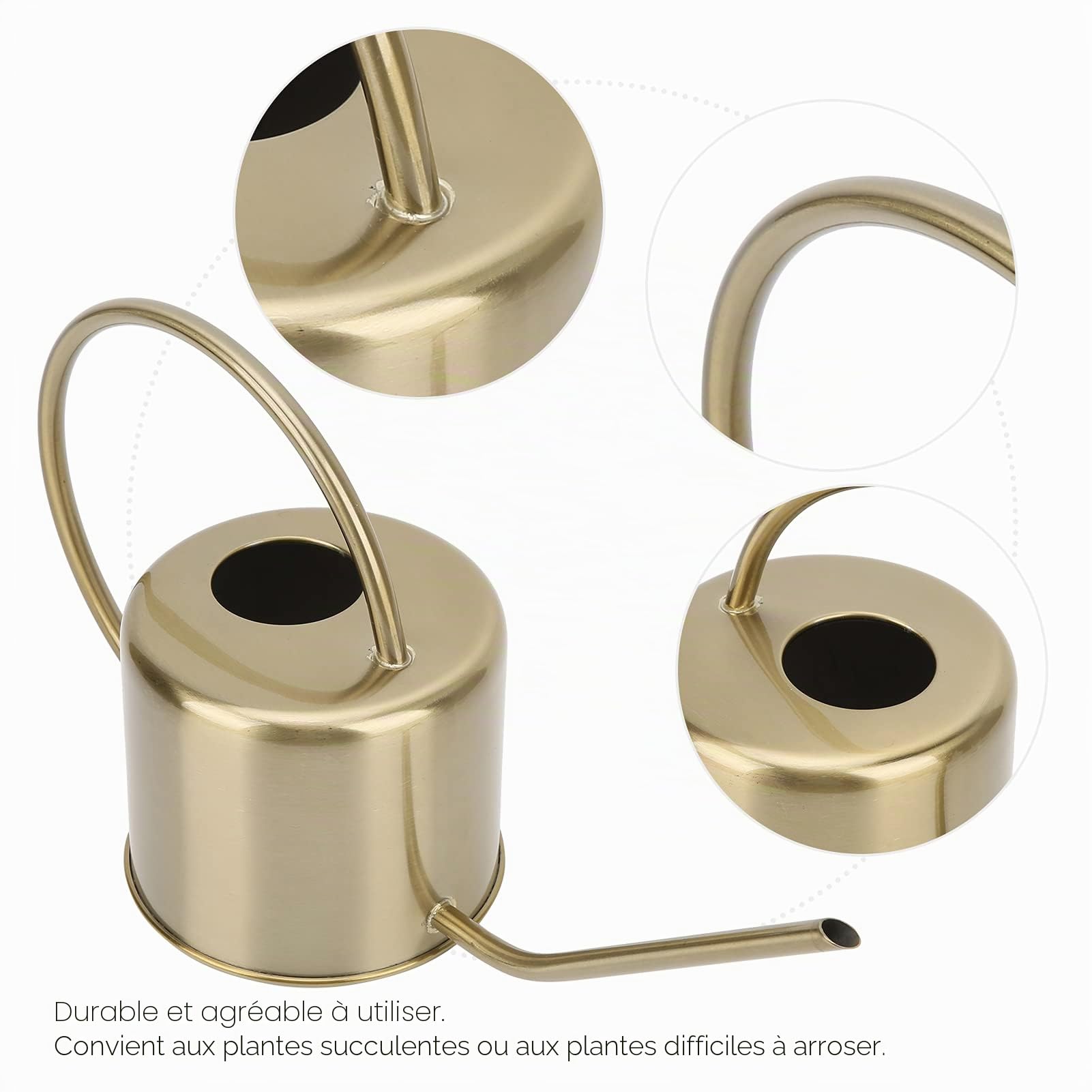 Shanrya Arrosoir pour Plantes, arrosoir rétro en Laiton à Long Bec pour Jardin pour terrasse