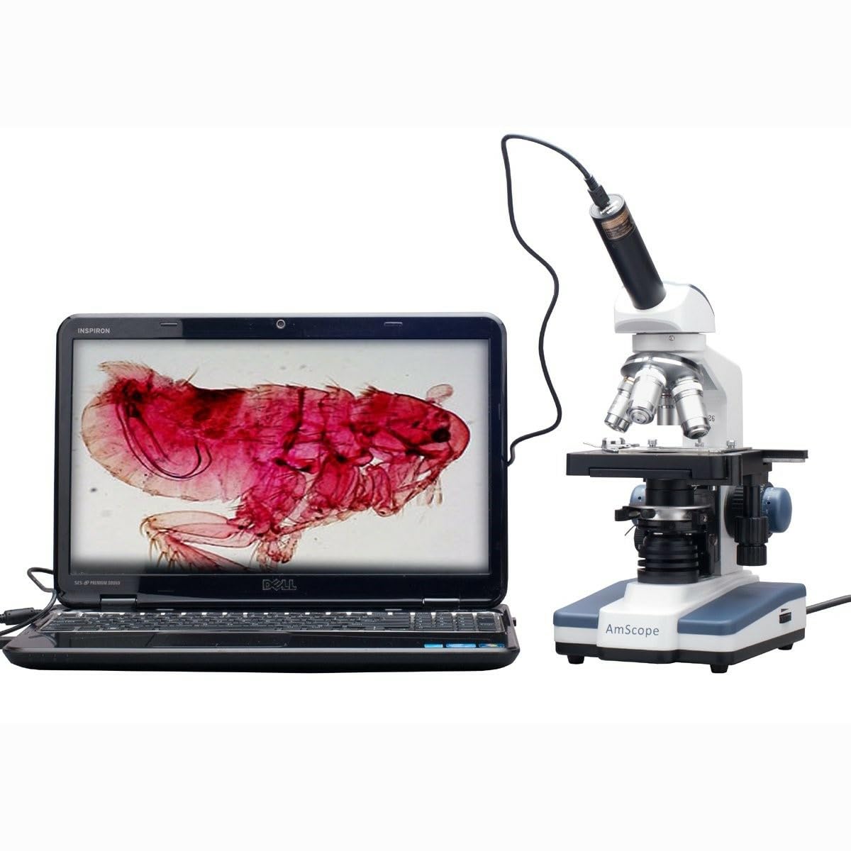 Microscopio Compuesto monocular Digital LED 40X-2500X con Etapa 3D (M620C)