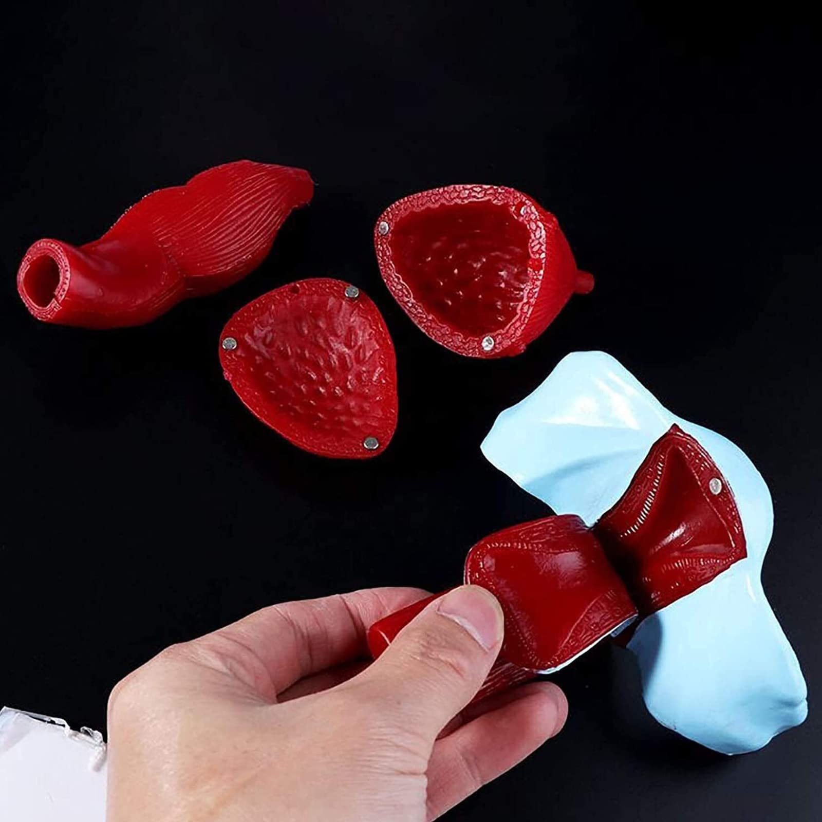 Anatomiczny Model Miednicy Żeńskiej Z Wymiennymi Narządami, Model Szkieletu Miednicy Żeńskiej Naturalnej Wielkości Do Szkolnego Wyświetlacza Medycznego