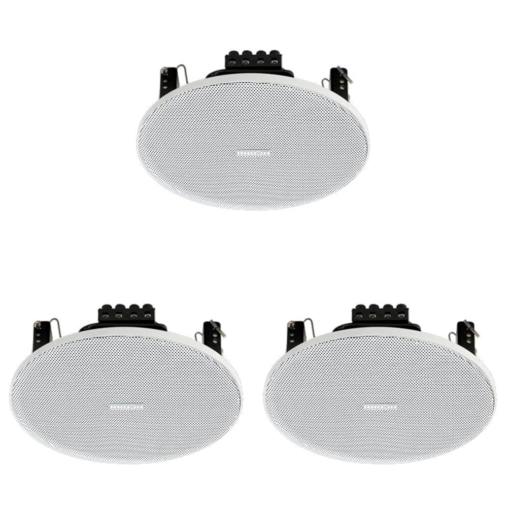 Amplifier Ahuja Watt Ceiling Speaker Background Audio System