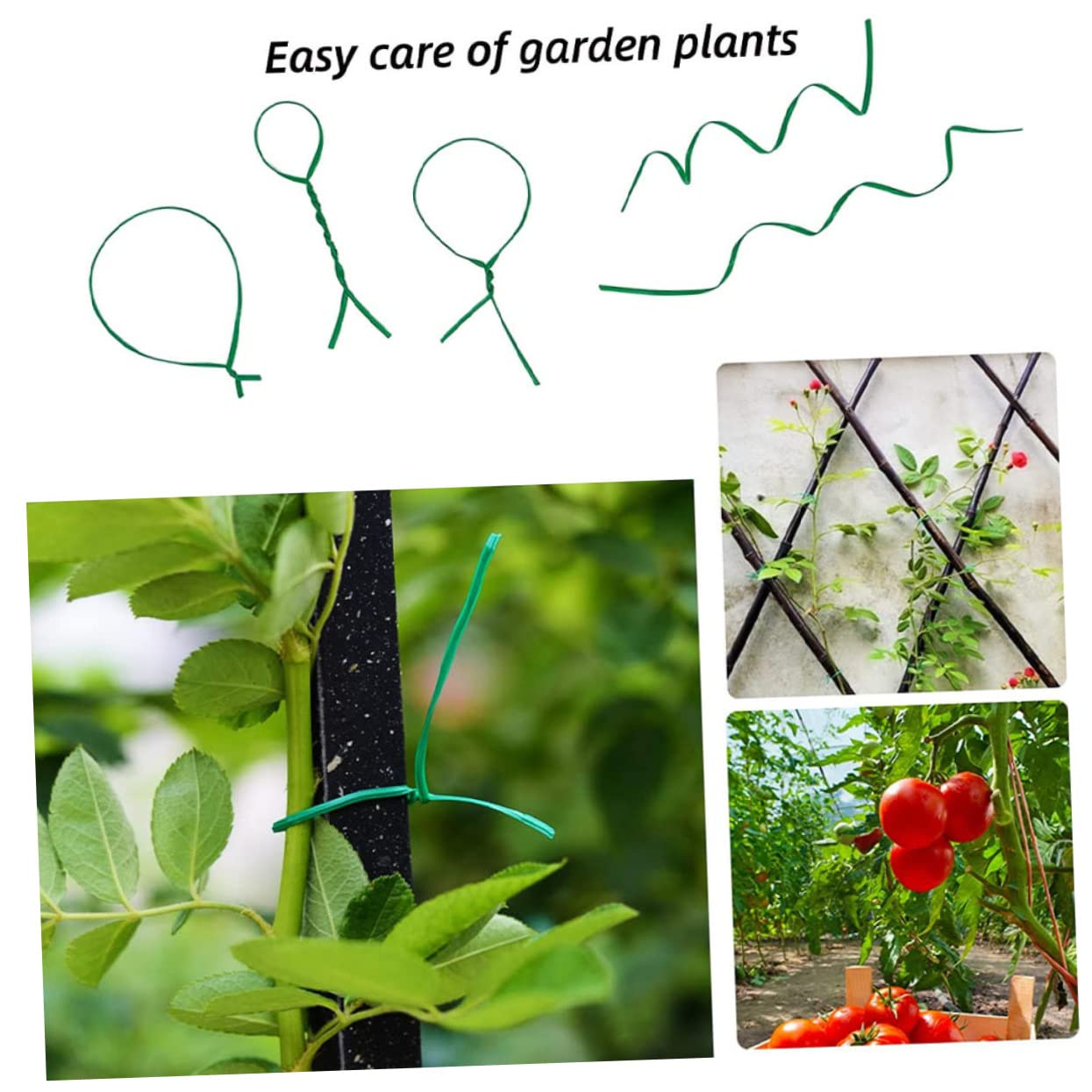 Kisangel 2000stücke Flexible Pflanzenbinder Für Garten Und Pflanzenunterstützung Für Fixieren Von Pflanzenstängeln Training Von Kletterpflanzen