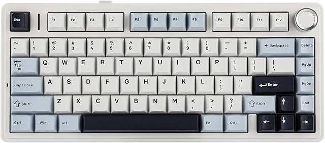 EPOMAKER x Aula F75 Gasket klawiatura mechaniczna, 75% klawiatura gamingowa z pięciowarstwową wyściółką i przyciskiem, Bluetooth/bezprzewodowa/USB-C, RGB, błękitna, LEOBOG Reaper Switch