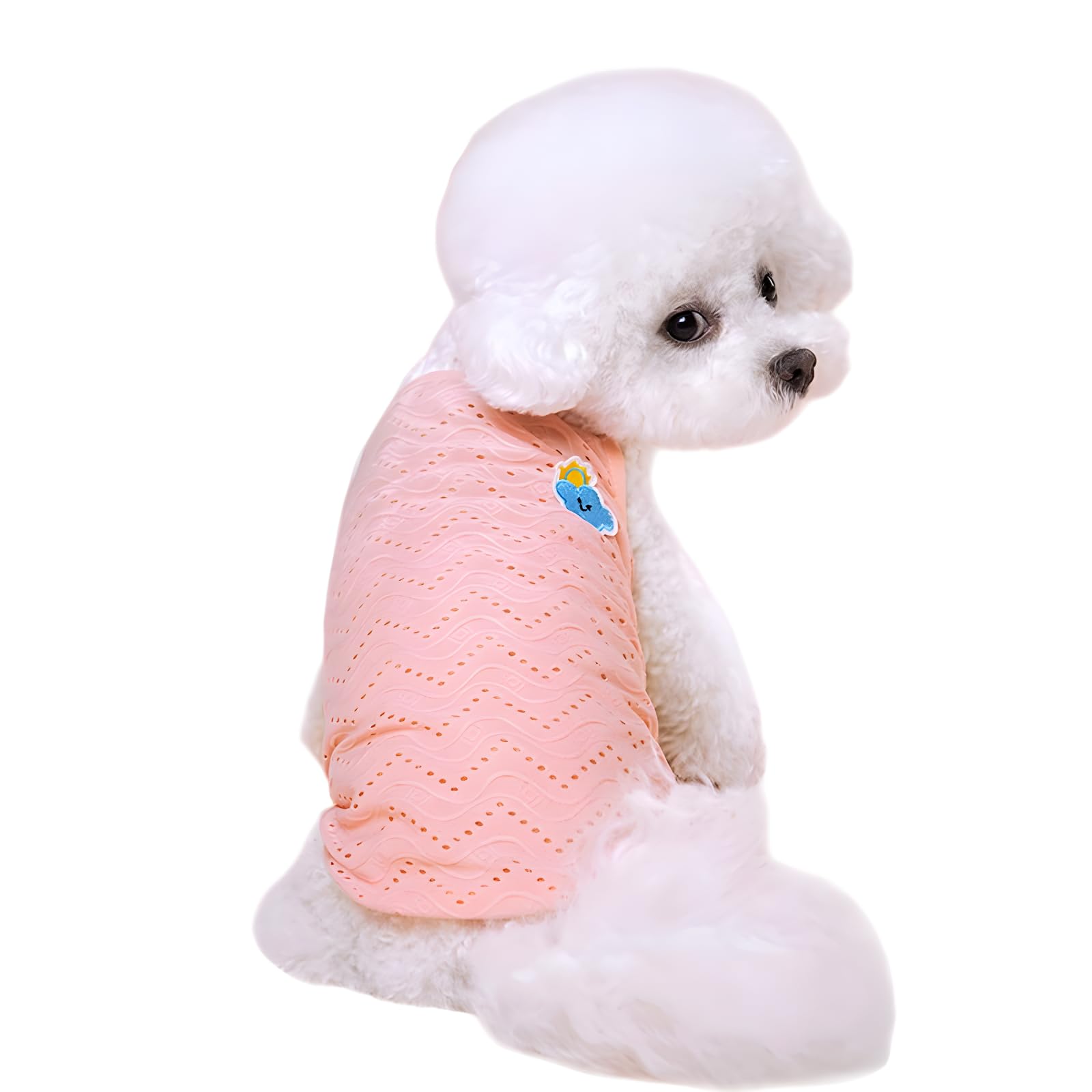 Amazon | 犬 夏服 ひんやり 冷感 タンクトップ メッシュ ベスト 冷感