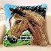 Coopay Kit de Tapis à Crochets,Kit Tapis au Point noué Chevaux 43cm x 43cm Kits de Crochet de Verrouillage for Adultes Débutants Bricolage,pour la Décoration D'oreillers et de Coussins