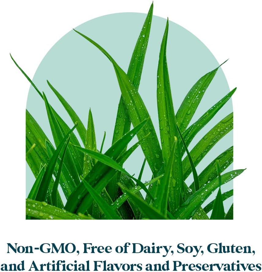 Pattern Wellness Prenatal Complex for Women – Prenatal Vitamin with DHA, Folate, Iron, Probiotics & Biotin – Support from Preconception to Postpartum - 90 Capsules - Image 5