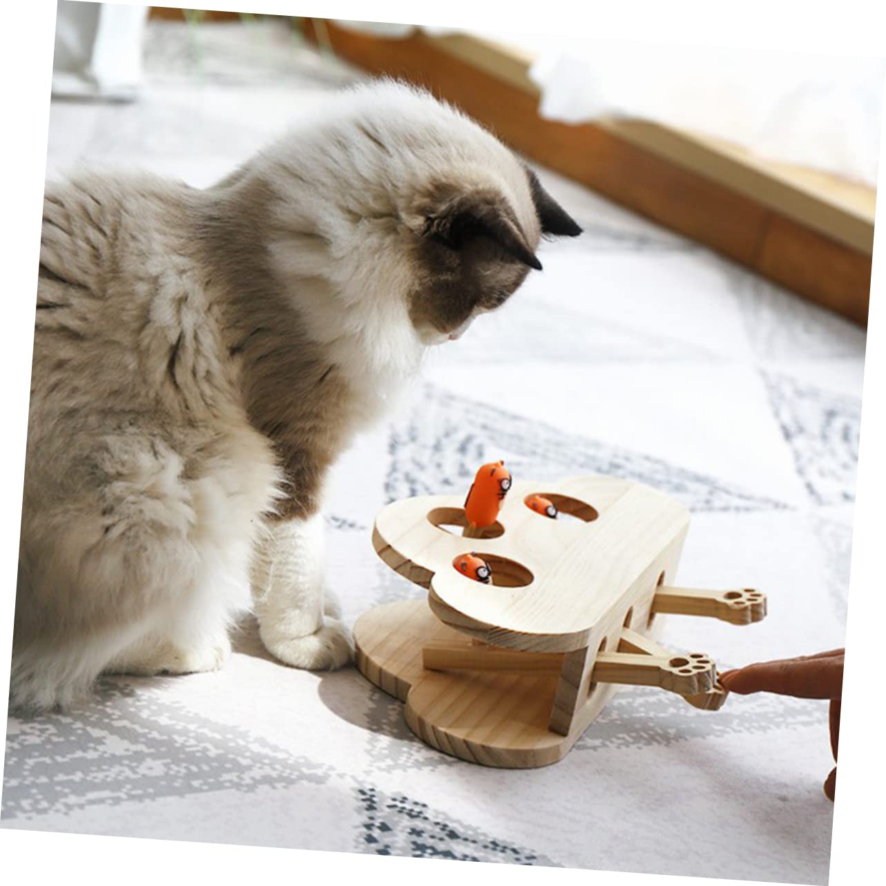 Abaodam Jouet Souris pour Chat Jouet Educatif Interactif pour Animal De Compagnie