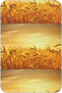 Wheat Field Print Fridge Magnets, Soft Magnet for Home/Office, Decor Magnet for Fridge/Microwave