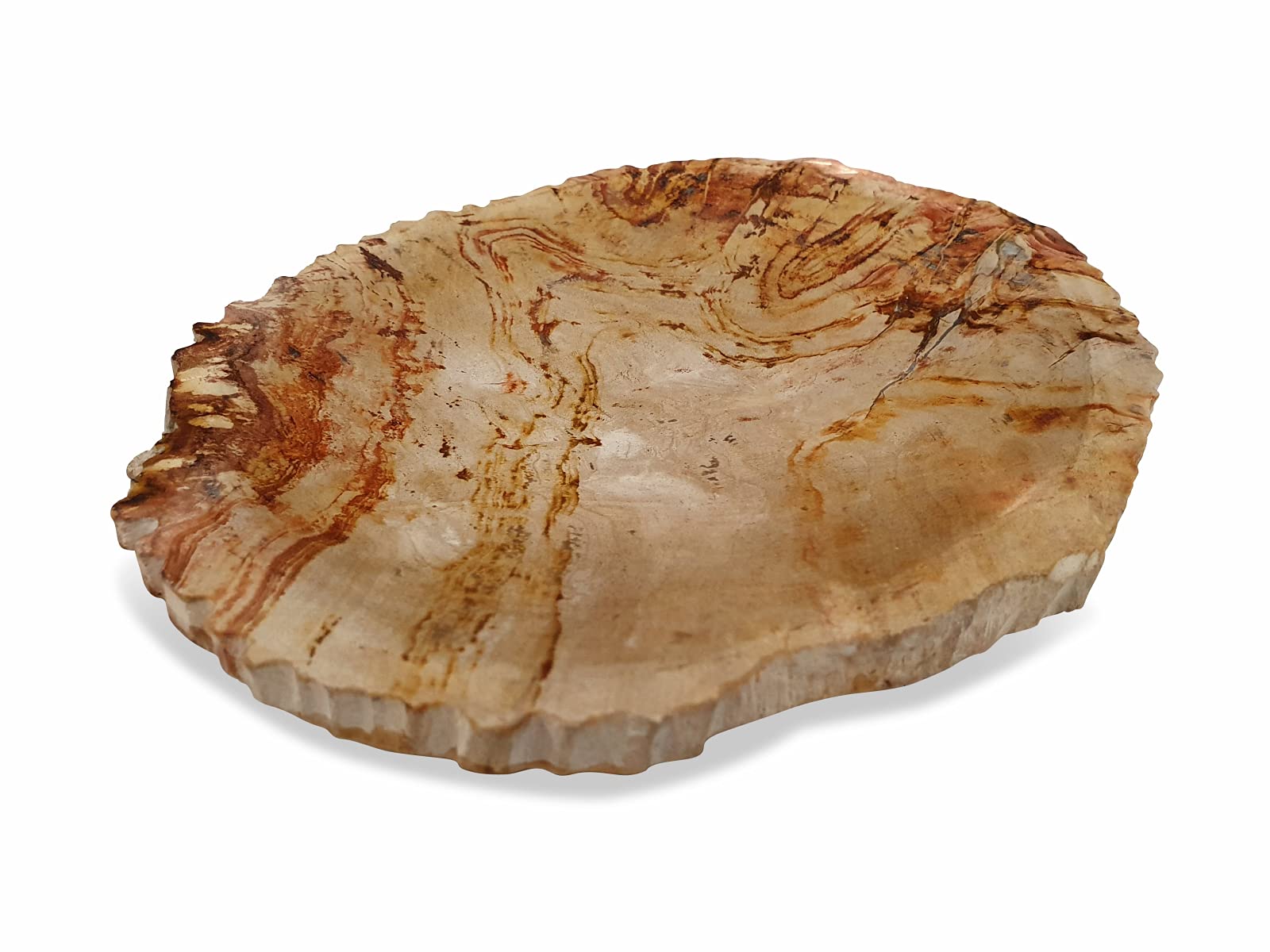 Jabonera de madera fosilizada - 10 x 15 cm piedra natural jabonera en aspecto moderno accesorio de baño