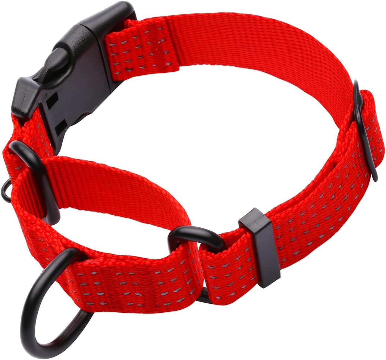 LUCKYDC Martingale Collar for Training Dogs. Adjustable